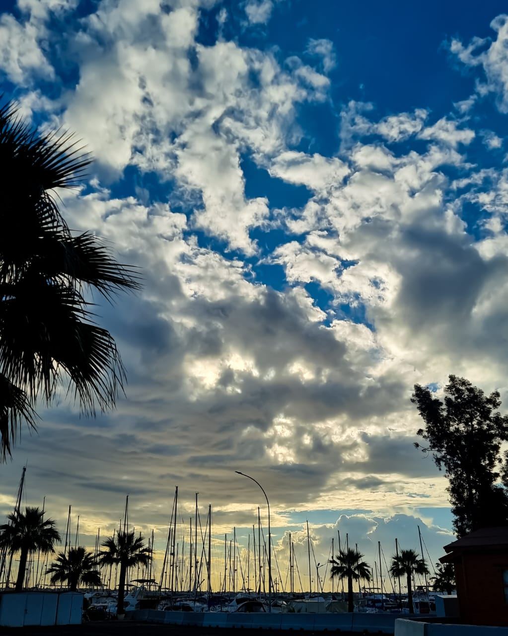 Marina mit Palmen auf Zypern – mediterraner Lifestyle